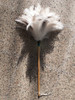Plumero De Plumas Blancas N 28 Especial 4