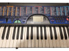Organo Casio Ctk-495 3