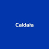 Radiador Caldaia Clan N 500 X 2 Elementos Kit Completo Envio 1