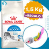 Alimento Gato Royal Canin Indoor 1,5 Kg / Mundo Mascota 0 Alimento Gato Royal Canin Indoor 1,5 Kg / Mundo Mascota 0