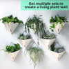 Lalagreen Macetas De Pared Para Plantas De Interior - Paquet 2