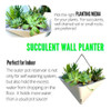 Lalagreen Macetas De Pared Para Plantas De Interior - Paquet 4