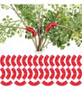 60 Unidades De Dobrador De Galhos De Plantas 45/90 Graus Pla 4