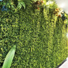 20 Placas Mini Samambaia Artificial 40x60 Parede Muro Inglês 4
