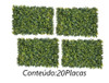 20 Placas Mini Samambaia Artificial 40x60 Parede Muro Inglês 6