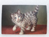 Antigua Postal Con Imagen De Pequeño Gato 0
