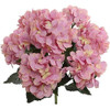 Arbusto De Flores De Seda Larksilk Hydrangea, Siete Cabezas 0