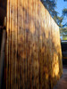 Cañas. Bambu Tacuara Pergola Cerco Decoracion. 1 X 1 Metro 2
