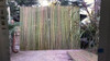 Cañas. Bambu Tacuara Pergola Cerco Decoracion. 1 X 1 Metro 4