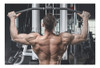 Barra Dorsalera Cromada Imp Para Polea Ejercicio Gym-man C 1
