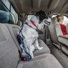 Correa Ajustable Para Auto Kurgo Bungee 3