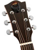 Púas De Guitarra Premium 24 Piezas Paquete De Variedad De De 7