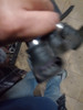 Bobina De Encendido Audi A 3 1