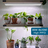 Luces De Crecimiento De 2 Pies Plantas De Interior, Paq... 2 Luces De Crecimiento De 2 Pies Plantas De Interior, Paq... 2