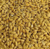 Arroz Cateto Com Casca A Granel 1kg 2