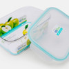 Bisfree Rectangular 2.8 L 2