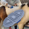 Escova Para Cavalos, Ferramenta Para Esfregar Cavalos, Azul 7