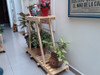 Base Torre Para Macetas C/ Ruedas 5