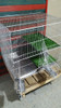 Jaula Para Conejos 4