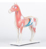 Modelo Caballo Acupuntura 2