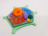 Célula Vegetal Eucariota Modelo Didáctico 3d 5