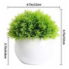 4 Mini Plantas Artificiales 1