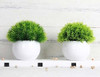 4 Mini Plantas Artificiales 5