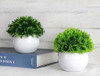 4 Mini Plantas Artificiales 6