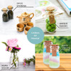 Botellas Pequenas De Vidrio Con Corcho, 3.4 Onzas, Mini Tarr 4