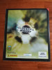 Clausura 2007. Album Vacio, Nuevo. Exelente Mira!!!! 1