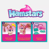 Combo Hamstars Mascotas Con Accesorios Y Microfono De Regalo 4