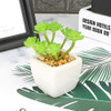 Plantas Suculentas Artificiales En Macetas De Cerámica Artis 4