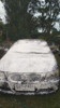 Espuma Activa Lavado Auto 10lts Shampoo Concentrado Máquina 5