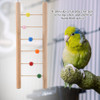 Brinquedo De Escalada Wood Bird Parrot Ladder Hanging Swing 3