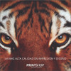 Impresiones Bajadas Laser Color A4 130g X300 Unidades 4