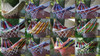 Hamacas Paraguayas Linea Multicolor 2