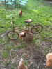 Bicicleta 1