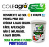 Cola Entomológica 500 Gr - Armadilha Insetos Agricultura 6
