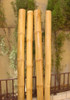 Cañas De Bambu Quemadas Jardin Patio Hogar Decoracion Bamboo 1