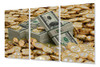 Cuadro Trip 60x90 Dinero Bitcoin Billete Dolar Coin 0