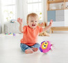 Nueva Bola Esfera Pelotita Fisher Price Juego Juguete Gateo 2