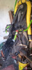 Silla Parajet Paramotor Talle L/xl 0