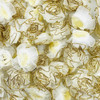 Aplique Patch Tecido Flor Branco Com Dourado 25mm 20pçs 10g 2
