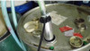 Bomba Submersivel Combustivel Diesel E Transferencia De Agua 3