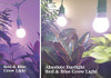 Jardinero De Cocina 2socket Led Crece Kit De Luz Espect... 1