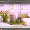 Jardinero De Cocina 2socket Led Crece Kit De Luz Espect... 2