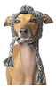Canada Pooch Polar Pom Pom Sombrero De Perro 0 Canada Pooch Polar Pom Pom Sombrero De Perro 0