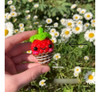 Rainbow Loom® Jelly Collection: Bandas De Goma 3
