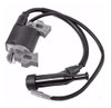 Modulo Bobina Encendido Grupo Electrógeno Generador 5.5 Hp 0