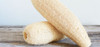 Esponja Vegetal Luffa X 40 Baño - Cocina Zero Waste Kompost® 5